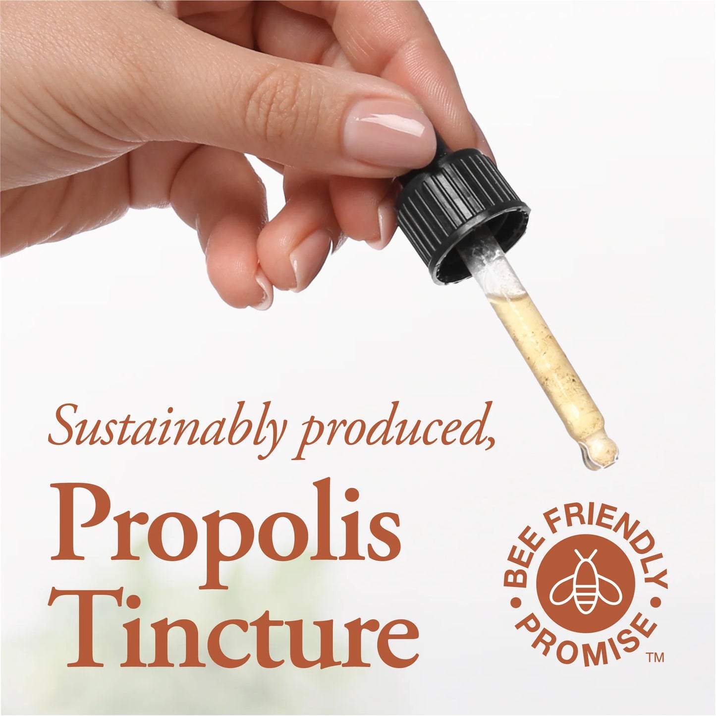 Propolis Tincture-Alcohol Free