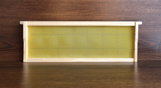 Assembled Beeswax Frames