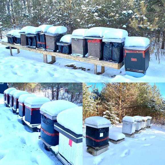 Winter Wraps