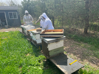 2024 Introduction To Beekeeping Course