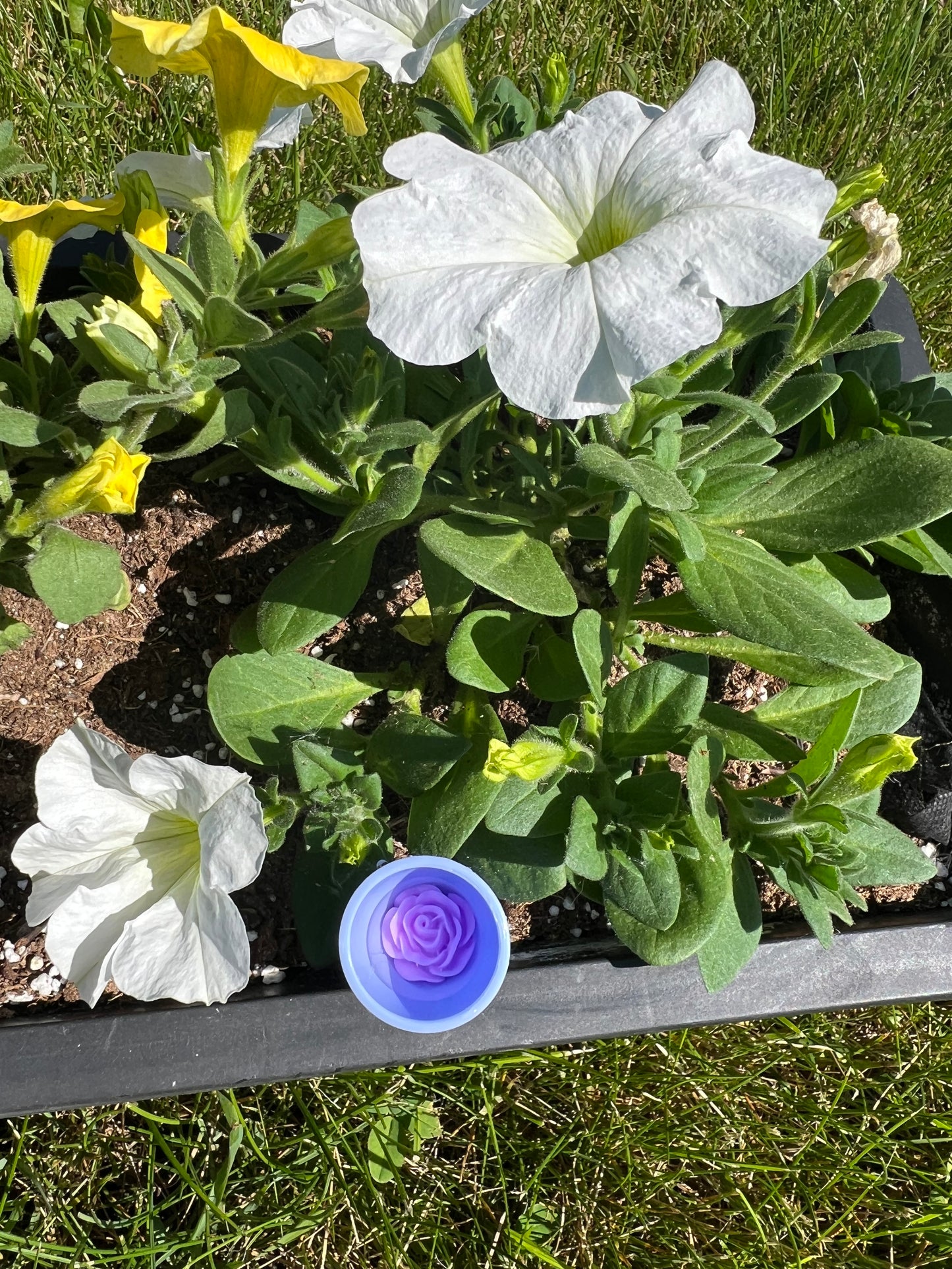 Bee Drinking Cups for Your Garden