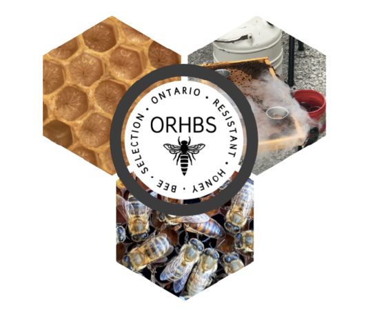 Ontario ORHBS Queens-Queens must be picked up within 24 hours of ordering online!