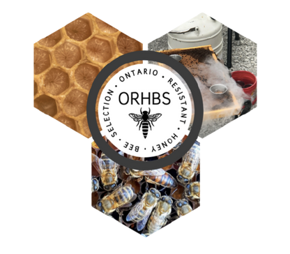 Ontario ORHBS Queens-Queens must be picked up within 24 hours of ordering online!