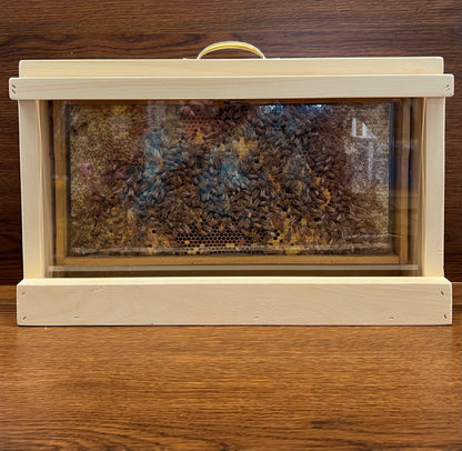 One Frame Mobile Observation Hive